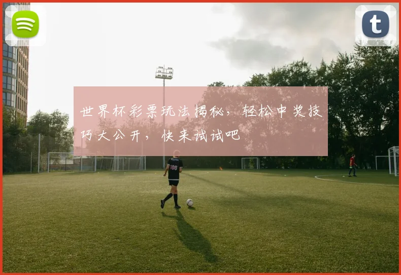 世界杯彩票玩法揭秘，轻松中奖技巧大公开，快来试试吧