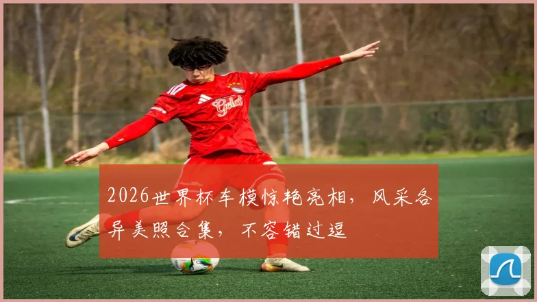 2026世界杯车模惊艳亮相，风采各异美照合集，不容错过逗