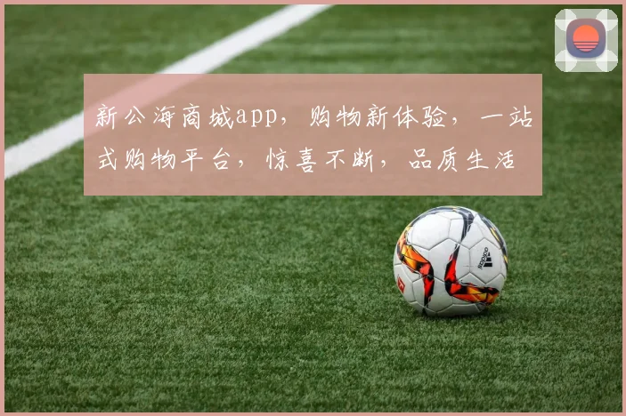 新公海商城app，购物新体验，一站式购物平台，惊喜不断，品质生活，轻松享受，3大亮点，必看