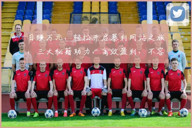 日赚万元，轻松开启暴利网站之旅，三大秘籍助力，高效盈利，不容错过